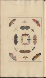 Lindsay Drawings Voi. VI, 63
