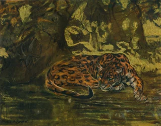 Jaguar, c1900