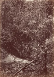 Darienin retkikunta, 1871 (kuva)