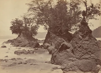 Saaret, Limon Bay,1871 (kuva)