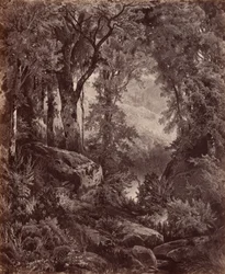 Solitude,1865 (kuva)