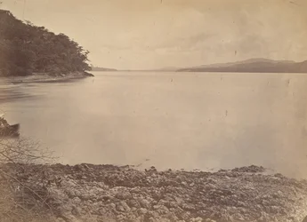 Trooppinen maisema, Darien Harbour – Etelään katsova, 1871.
