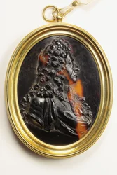 William III (kilpikonnankuori)