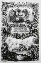 Paul ja Virginia, noin 1860-1870 (kaiverrus).