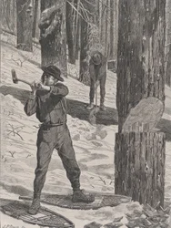 Puutavaraa talvella Joka lauantai, Vol. II, uusi sarja, 28. tammikuuta 1871.