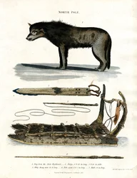 Pohjoisnapa: Arctic Dog and Hunting Equipment