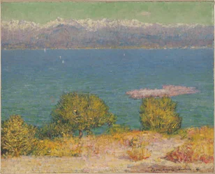 Nizzan lahti, 1891