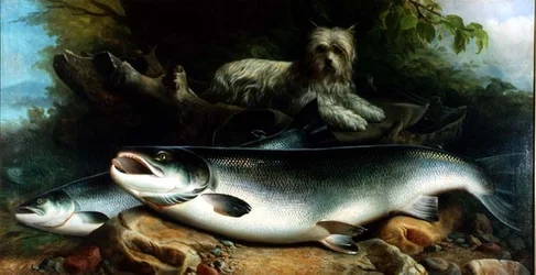 Päivän saalista vartioimassa; Skye Terrier sekä koiras- ja naaraslohi