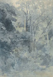 Rokeby Parkissa