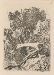 Liber Studiorum: Levy 11: Parsons Bridge, Cardingshire, 1838