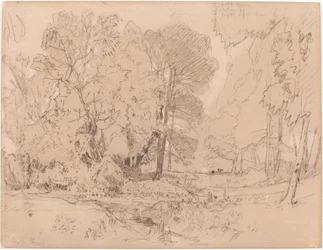 Metsäinen maisema