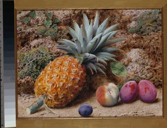 Ananas, persikka ja luumut sammaleella