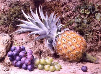 Ananas ja viinirypäleterttuja sammaleella