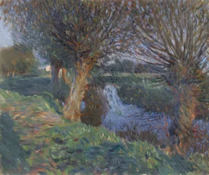 Calcotissa 1885-90