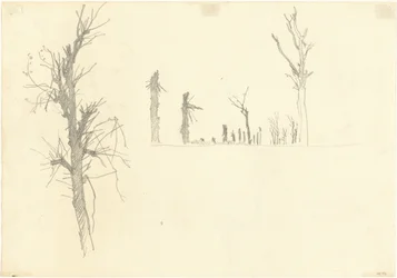 Tuhotut puut [verso], 1918.