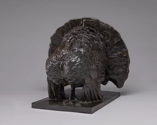 Turkki