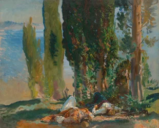 Sypressien alla Korfulla