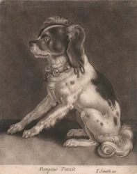 Koira kellopantalla