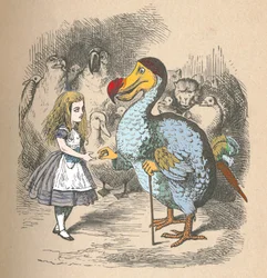 Liisa ja Dodo, 1889