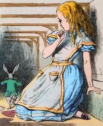 Liisa ja Valkoinen Kani. John Tennielin kuvitus Lewis Carrollin teoksen "Liisan seikkailut ihmemaassa" ensimmäisestä painoksesta, 1865 - kuvitus Lewis Carrollin (Charles Lutwidge Dodgson) kertomukseen "Liisa ihmemaassa"