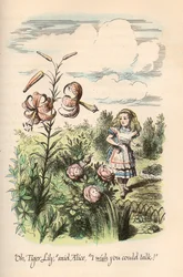 Liisa Ihmemaassa ja Katse lasin läpi, Lewis Carroll, kuvittanut John Tenniel.