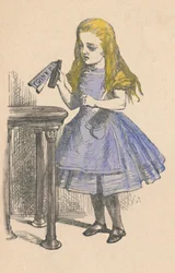 Liisa katselee pulloa, jossa on kyltti drink me, 1889