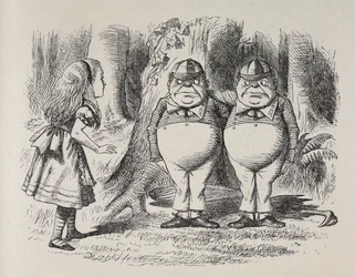Alice tapaa Tweedle Deen ja Tweedle Dumin ensimmäistä kertaa. He seisoivat puun alla, kummallakin käsi toistensa kaulassa, ja Alice tiesi hetkessä kumpi oli kumpi, koska yhdellä heistä oli brodeerattu "Dum" kaulukseensa ja toisella "Dee.