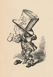 Hullu hatuntekijä oikeudessa, 1889