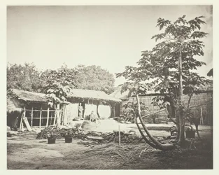 Pepohoan asunto, n. 1868.