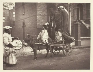 Marraskuun Effigies, 1881.