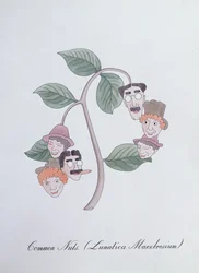 Tavalliset pähkinät. (Lunatica Marxbrosium), kuvitus John Weirin teoksesta "The Bogus Book of Botany"