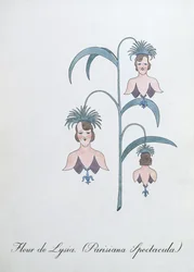 Fleur de Lysia (Parisiana Spectacula.), kuvitus John Weirin teoksesta "The Bogus Book of Botany"