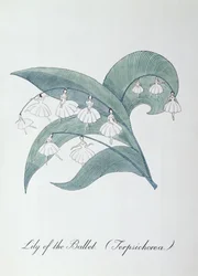 Lily of the Ballet (Terpsichore.), kuvitus John Weirin teoksesta "The Bogus Book of Botany"