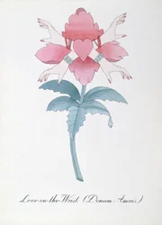 Rakkaus ranteessa (Donum Amoris.) kuvitus John Weirin teoksesta The Bogus Book of Botany