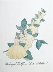 Red-eyed Wallflower (Late Subdebbia), kuvitus John Weirin teoksesta The Bogus Book of Botany