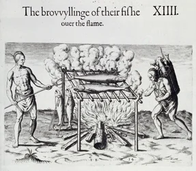 Cooking Fish, lautanen Thomas Harriotin (1560-1621) pubista "A Brief and True Report of the New Found Land of Virginia". 1590