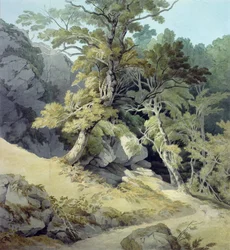Canonteign, Devon