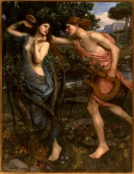 Apollon ja Dafne