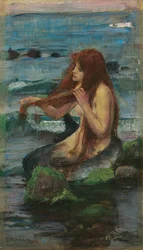 Merenneito, 1892