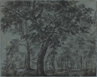 Woods at Night with Travelers