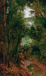 Maisema Rio das Pedrasissa