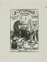 Eläinlääkäri