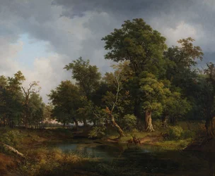metsäinen maisema