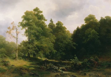 Hiljainen metsän nurkka