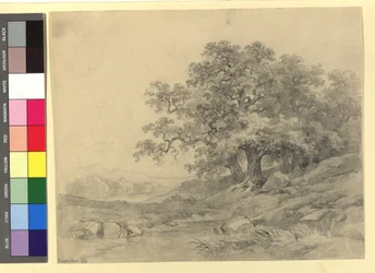 Maisematutkimus