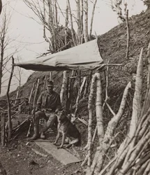 Albumi "Oma maailmansota - muistoja Lounaisrintamasta Kärntenissä, Italiassa, Trentino-Alto Adigessa) 31.03.1915-12.11.1918 - Josef Zohles Wien": sotilaskoira teltan alla (