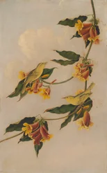 Keltakirkko, 1830-1833.