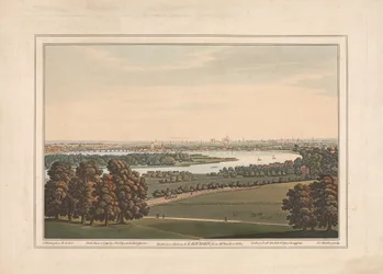 Battersea, Chelsea ja Lontoo Mr. Rucker