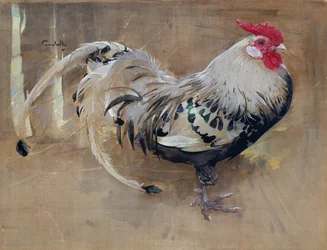 Kirjava kukko