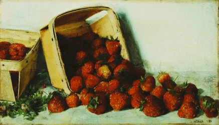 Mansikkakori, 1883